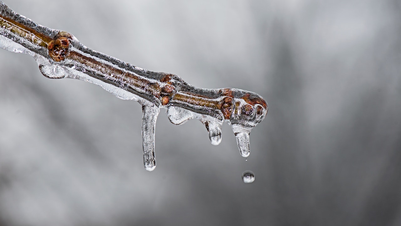 images/news/2018/ice-winter-cold-frozen